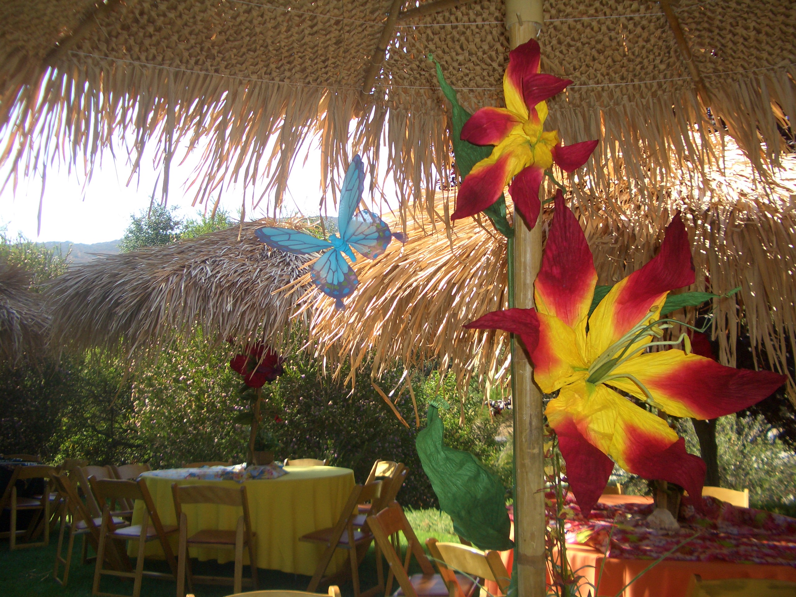 Luau Shows & Polynesian Entertainment — West LA Luaus